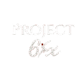 Project 6ix